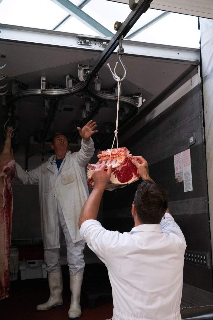 Grossiste de viande à  Albi