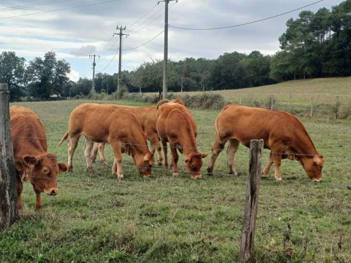 WhatsApp Image 2025 11 26 at 16.06.34